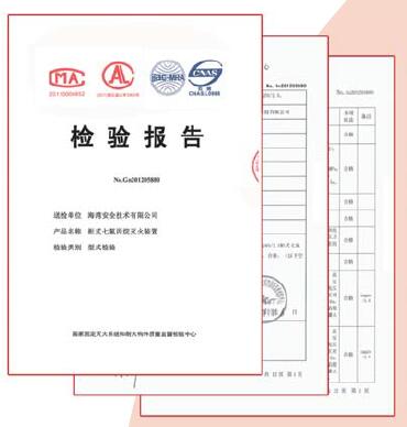 氣體滅火檢測報告